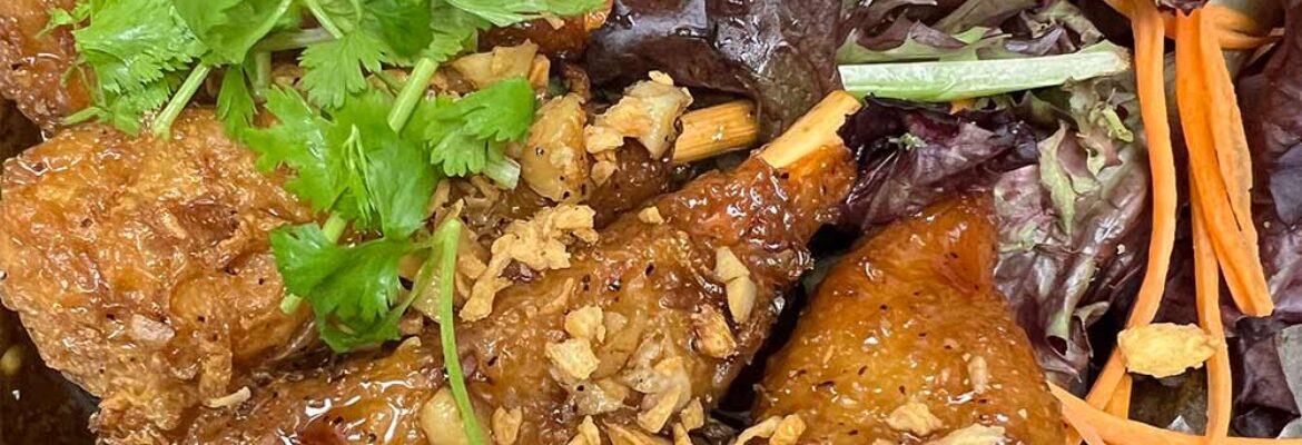 SAMATA VEGAN HOUSE