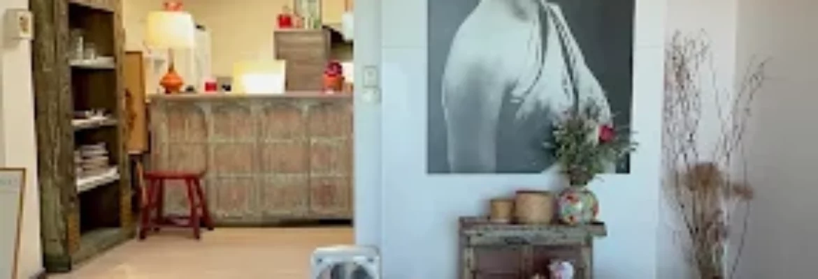 Yim Yam Thai Laos Ascot Vale