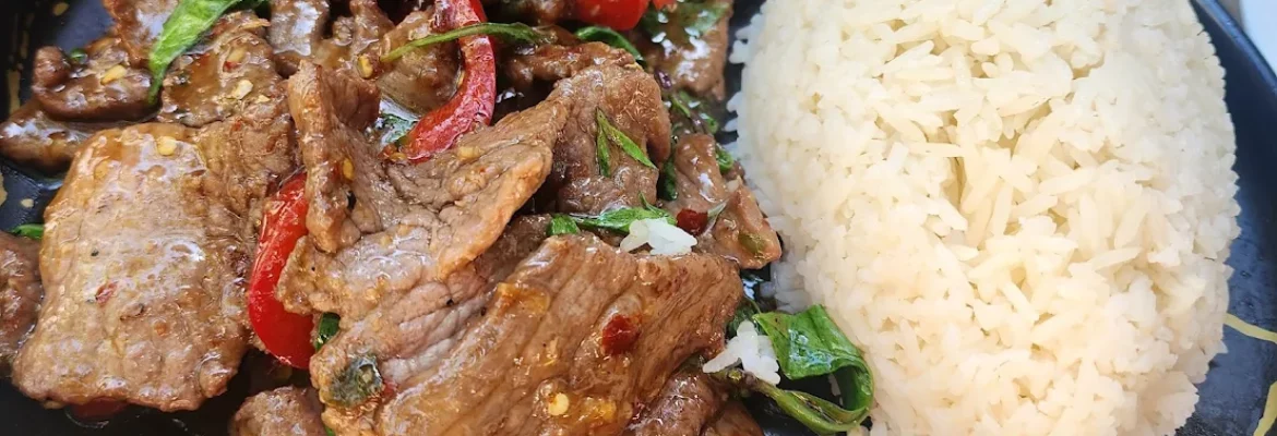 The Silver Lake House