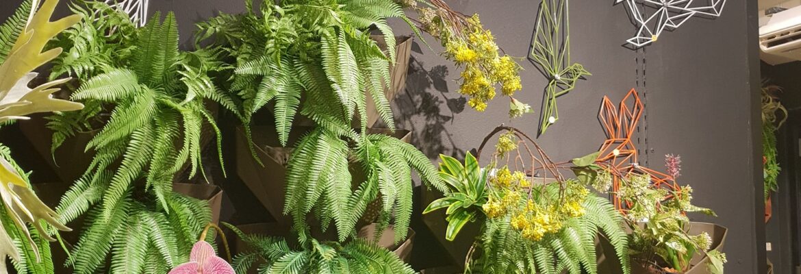 Kiddee Design คิดดี ดีไซน์