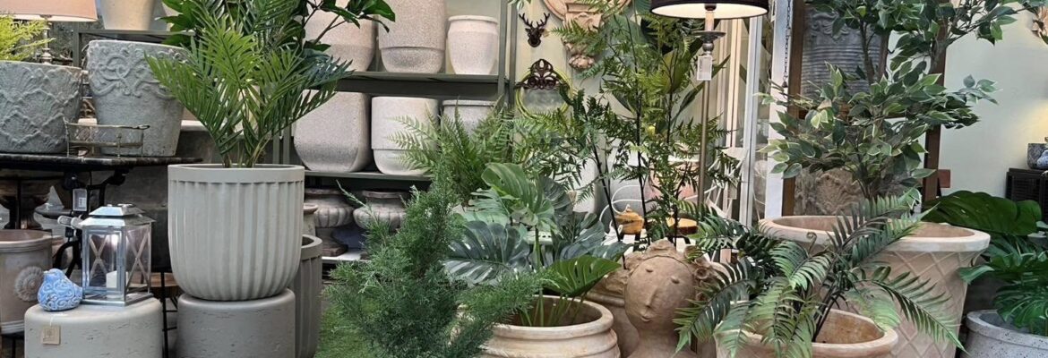 เดคคอร์ วิวอง