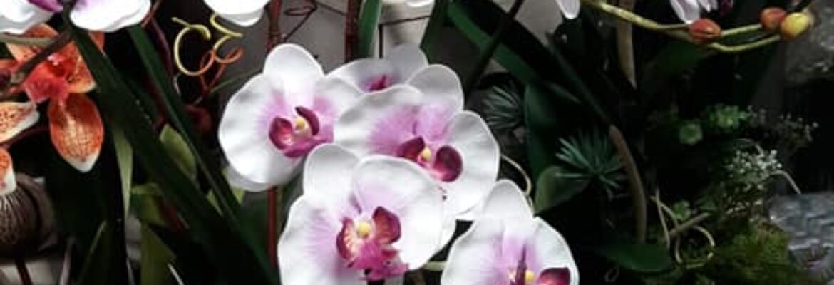 Cherry Florist