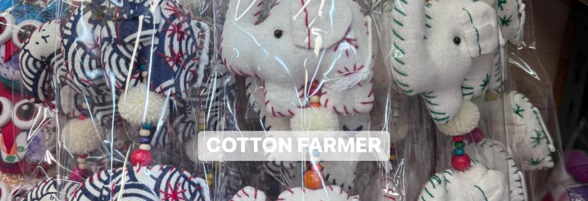 COTTON FARMER