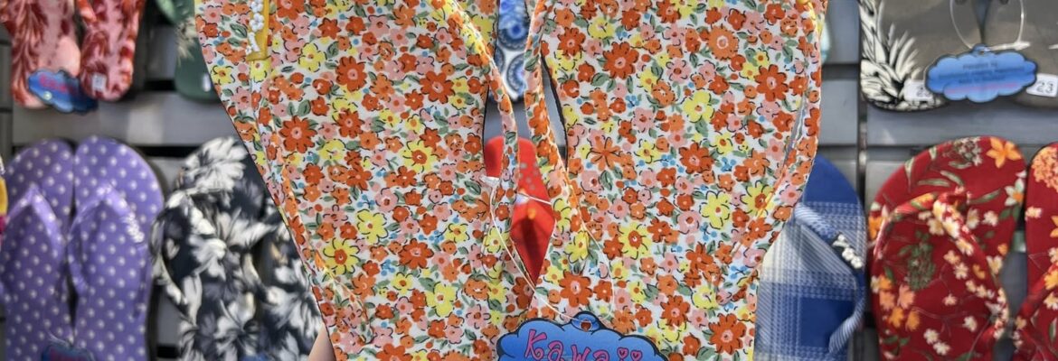 Kawaii slipper beach